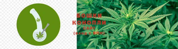 соль курить ск Белокуриха