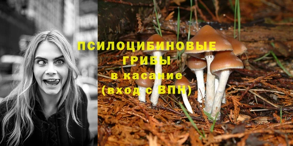 соль курить ск Белокуриха