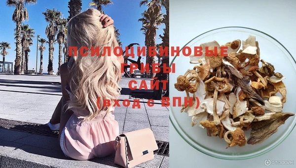 соль курить ск Белокуриха