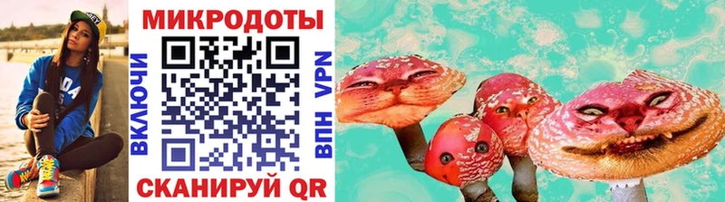 где найти   Павловск  omg   Псилоцибиновые грибы мухоморы 